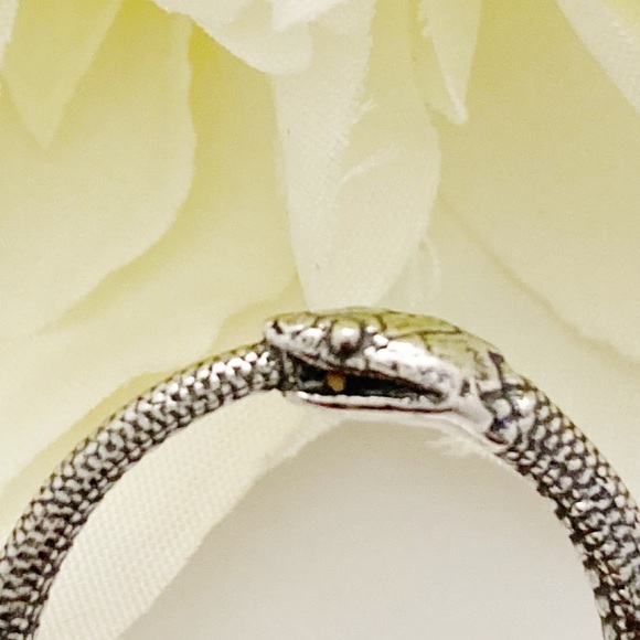 Oxidized Sterling Silver Ouroboros Snake Ring - Picture 5 of 6